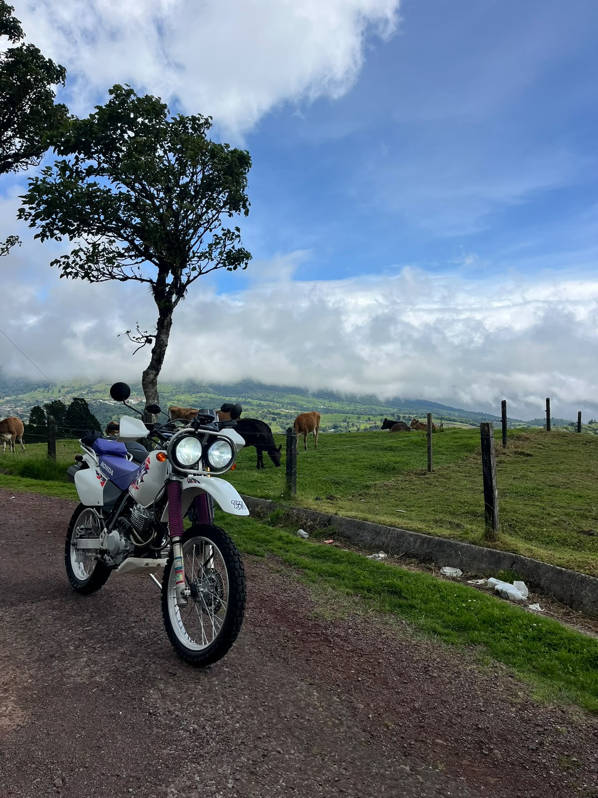 Honda XR 250 BAJA MD30 2004